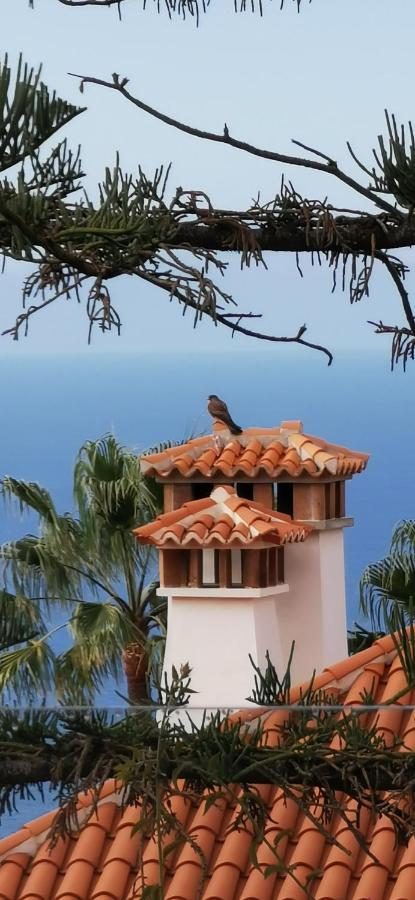 Villa Casa Moja - La Palma Tazacorte Esterno foto